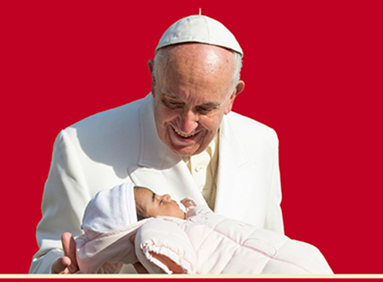 Buchtipp: Papst-Lob für unseren Kardinal
