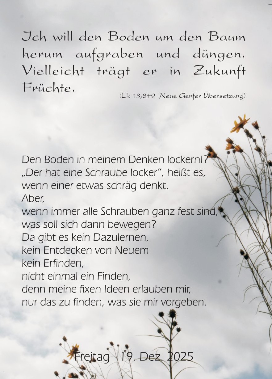 Vertrauen / Gem. Schalom Adventkalender Vertrauen