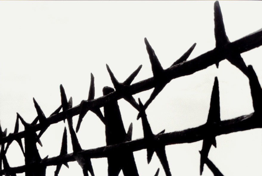 'Mauthausen-Barbed wire memorial'. 