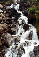 mdb/Bock Erwachsenenkatechumenat