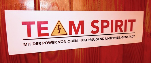 Team Spirit Logo