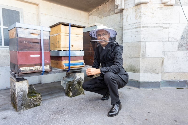 Dompfarrer Faber segnet Bienenvölker auf dem Stephansdom
