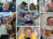 https://www.savealfieevans.com/aboutme/