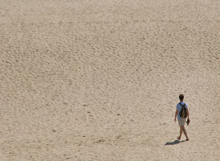 Gedanken von Kardinal Christoph Schönborn zum Evangelium am Sonntag, 10. Dezember 2017 (Mk 1,1-8)