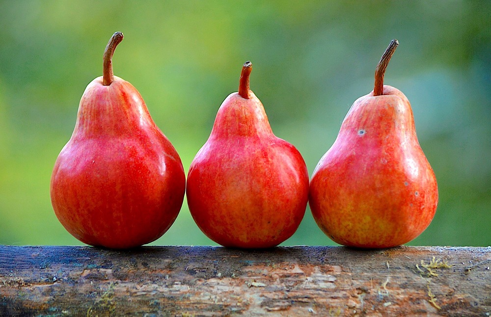 Pfarrblatt-Vorlage in drei Programmversionen