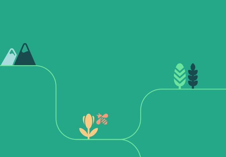 'Laudato-si-Jahr' endet mit Gründung von internationaler Aktionsplattform. 