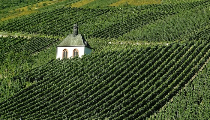 Komm zur 11ten Stunde