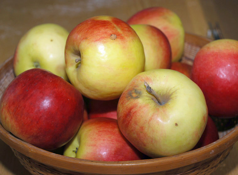 40 Rezepte zur Fastenzeit