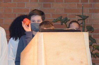 Erntedank 2020 in Unterheiligenstadt / Markus Lahner