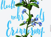 vergissmeinnicht.at