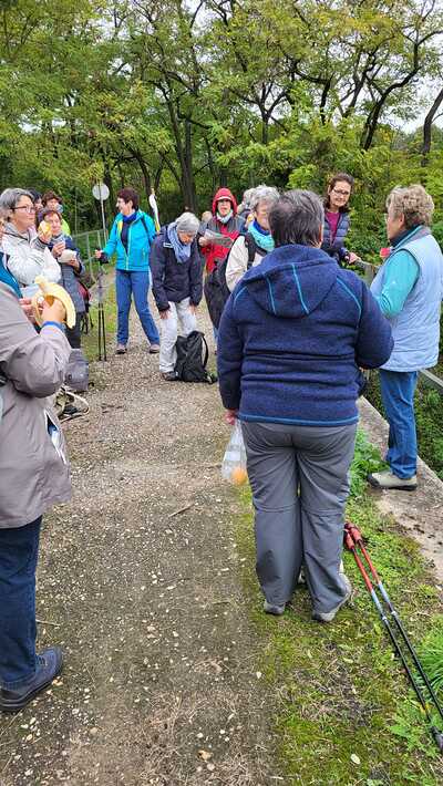Von Asparn/Zaya zum Buschberg