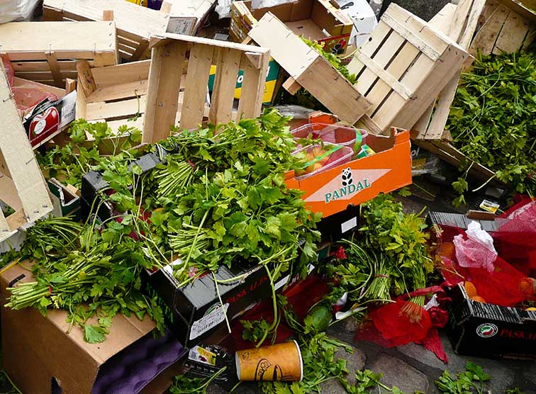 Der Lebensmittelretter