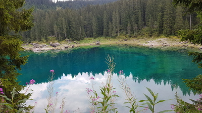 Busreise nach Oberitalien / M. Hersch / Reisegruppe
