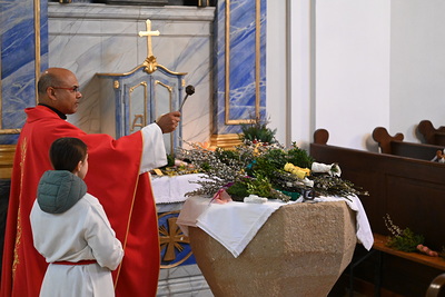 Feier des Palmsonntags in der Kirche in Wenzersdorf