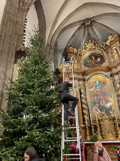 Schmücken der Christbäume 2025