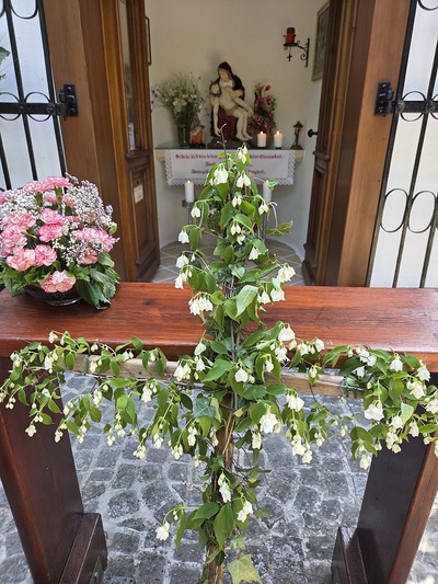 Maiandacht bei der Bildeichenkapelle