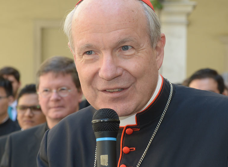 'Habe Zusage vom Nuntius und aus Rom, dass Ernennung eines neuen Bischofs für die Diözese Gurk zügig erfolgen wird'