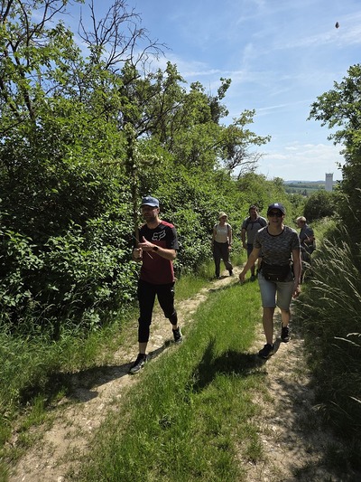 Maiandacht bei der Bildeichenkapelle