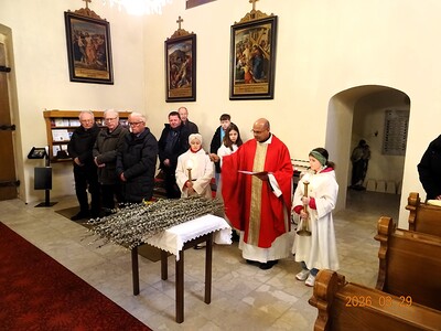 Palmweihe in der Pfarre Asparn/Zaya