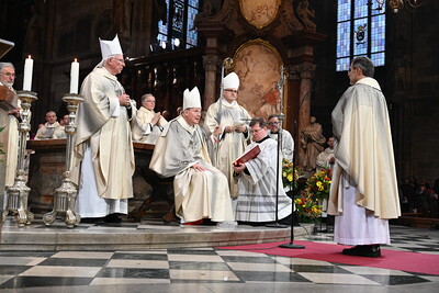 Bischofsweihe und Amtseinführung im Stephansdom