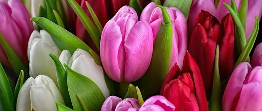 Willkommen! / Pixabay Willkommen!