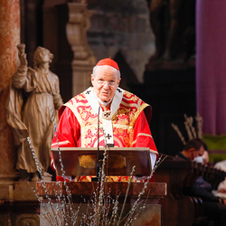 Kardinal Schönborn feiert Gottesdienst zum Palmsonntag am 28.März 2021 im Wiener Stephansdom