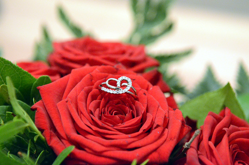 Ring_Rose3-ID30382.jpg / Rote Rosen - © http://goestl.globl.net