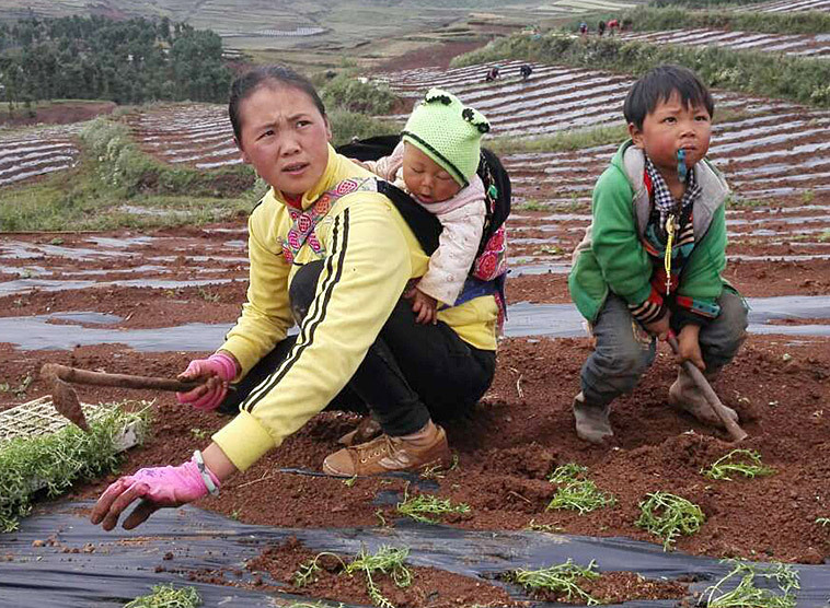 Landbevölkerung in China