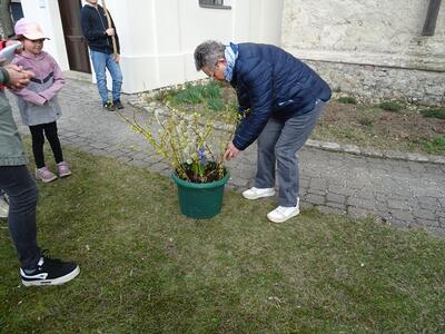 Straßenkreuzweg in der Pfarre Ameis