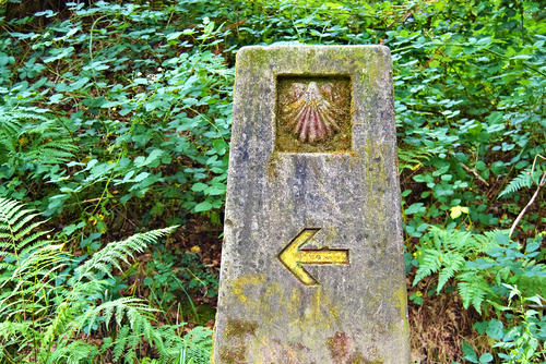 Pilger-Weg-Zeichen mit Jakobsmuschel