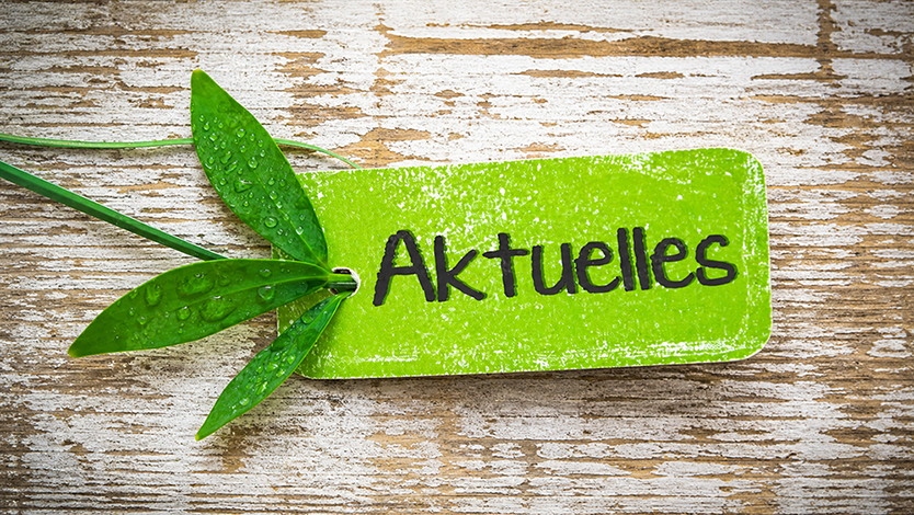 Grünes Schild mit Aufschrift Aktuelles auf Brett
