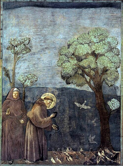Franziskus’ Vogelpredigt auf einem Fresko von Giotto di Bondone (um 1295) / Gemeinfrei Von Creator:St. Francis Master - Ursprung unbekannt, Gemeinfrei, https://commons.wikimedia.org/w/index.php?curid=93865