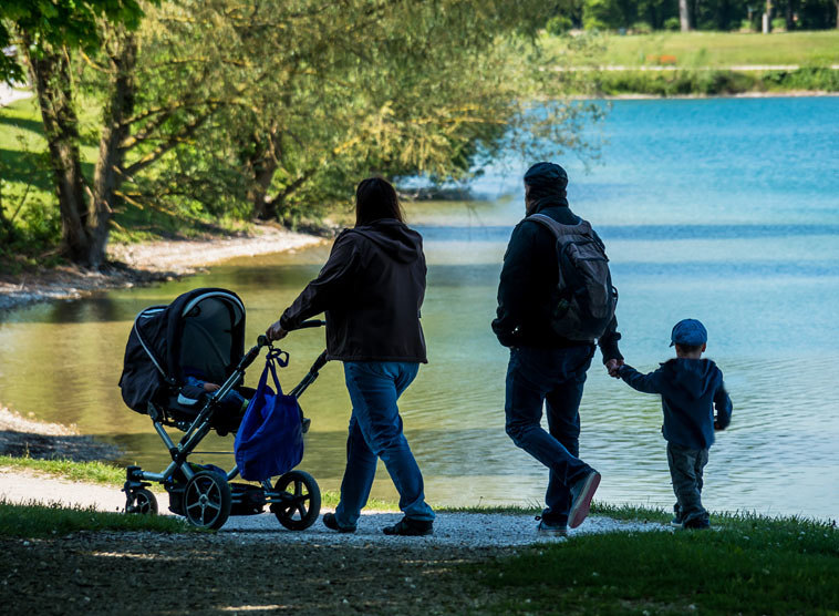 Gedanken von Kardinal Christoph Schönborn zum Evangelium am Sonntag, 7. Oktober 2018 (Mk 10,2-16)