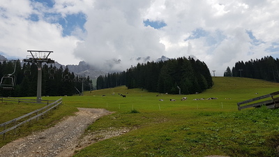 Busreise nach Oberitalien / M. Hersch / Reisegruppe