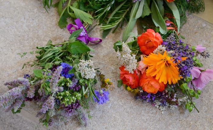 Kräuter für den Frauentag - Mariä Himmelfahrt