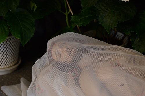 Heiliges_Grab-ID31544.jpg / Karsamstag - Tag der Grabesruhe - © http://goestl.globl.net