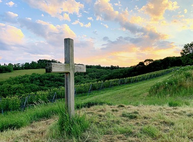 Kreuz in den Weinbergen
