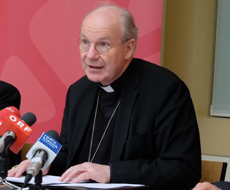 Schönborn: Loyalität gegenüber Papst ist 'katholische Normalität'