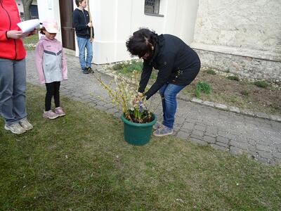 Straßenkreuzweg in der Pfarre Ameis