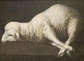 https://commons.wikimedia.org/wiki/File:Agnus_Dei_(The_Lamb_of_God),_by_Francisco_de_Zurbaran,_c._1635-1640_-_San_Diego_Museum_of_Art_-_DSC06627.JPG