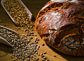 Brot und Getreide/bilderbox.com