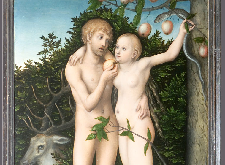 Gedanken von Kardinal Christoph Schönborn zum Fest Maria Empfängnis am 8. Dezember 2017