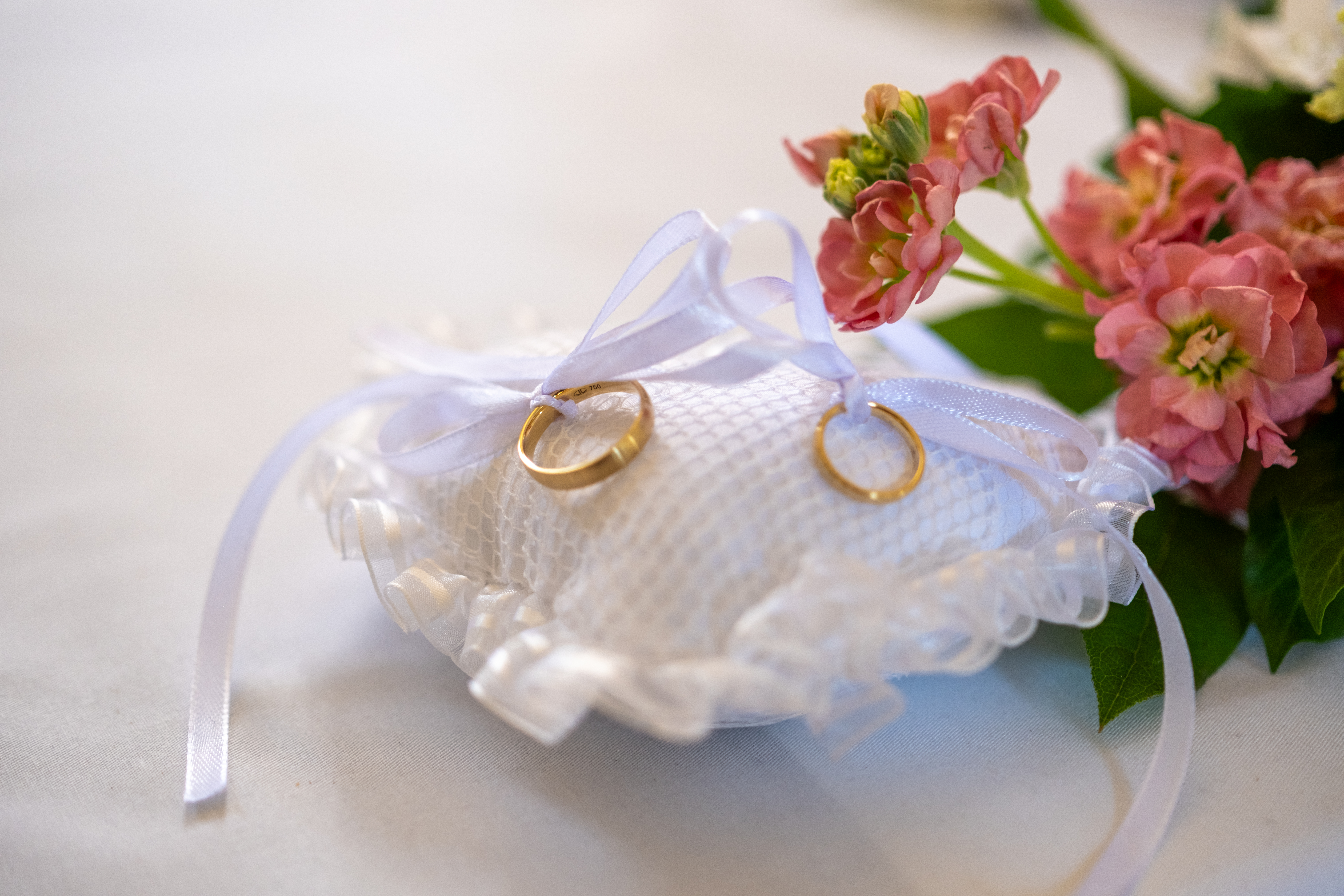 Trauringe auf einem Kissen
