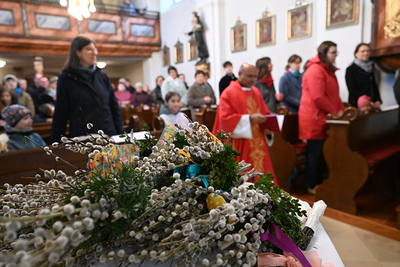 Feier des Palmsonntags in der Kirche in Wenzersdorf