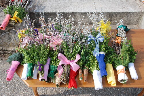 Palmzweige - Zeichen der Hoffnung / © www.markus-goestl.at