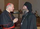 Serbisch-orthodoxer Bischof Andrej tritt sein Amt an. Foto: rupprecht/kathbild.at