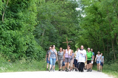 Marterlwanderung und Segnung Auchmannkreuz, am Sonntag, den 3. Juni 2018