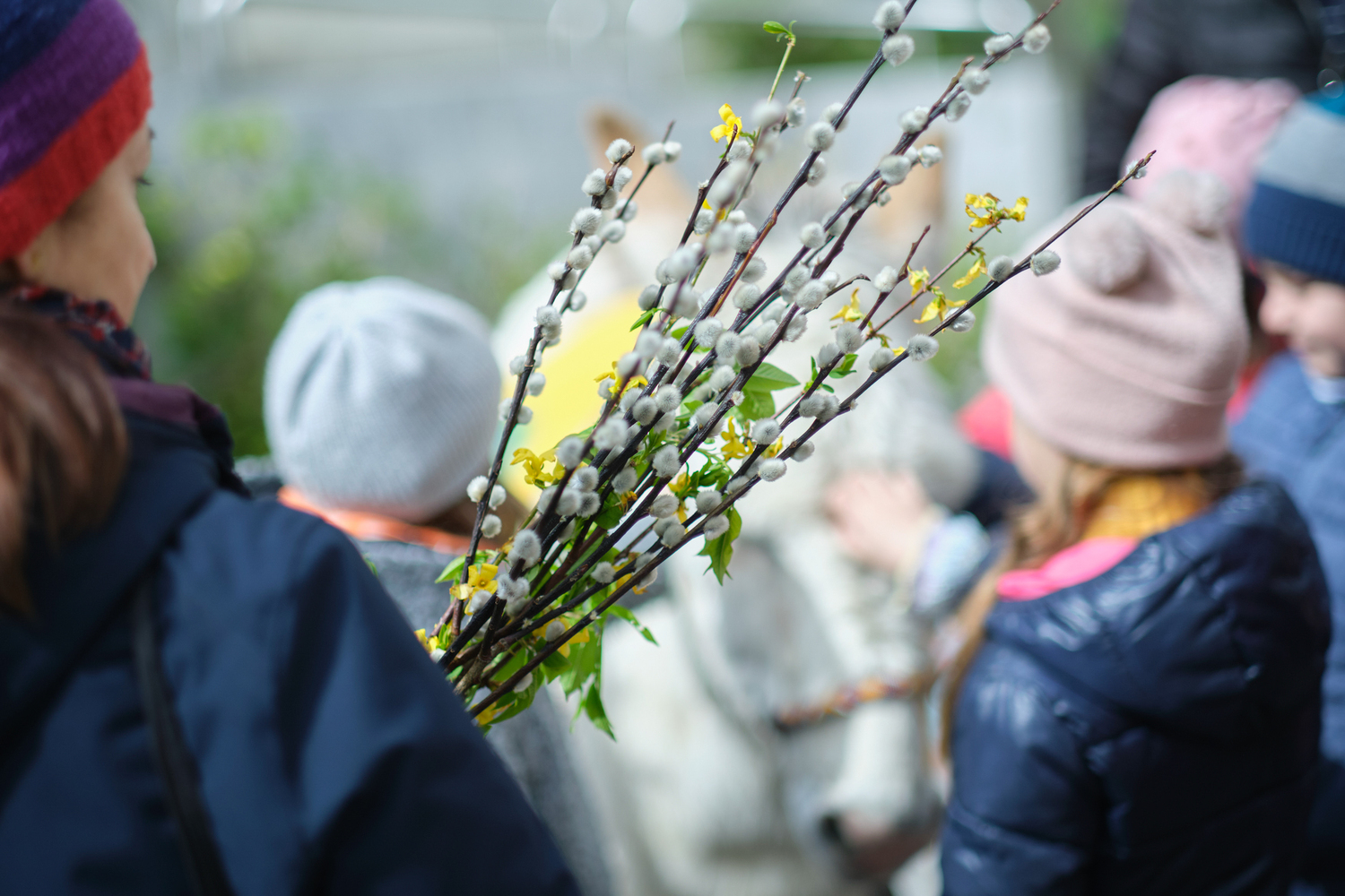 Palmsonntag PFarre Mauer