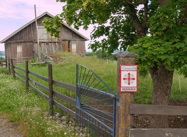 Pilgern am Olavsweg in Norwegen als 'Reise zu sich selbst'