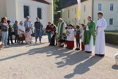 Tiersegnung
